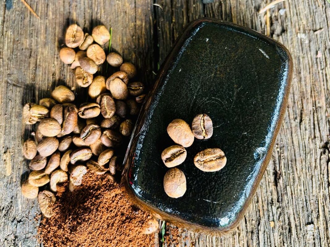 productos base aguacate