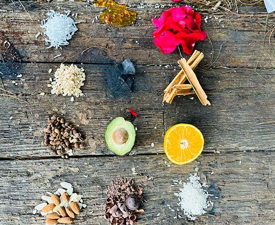blog aguacate